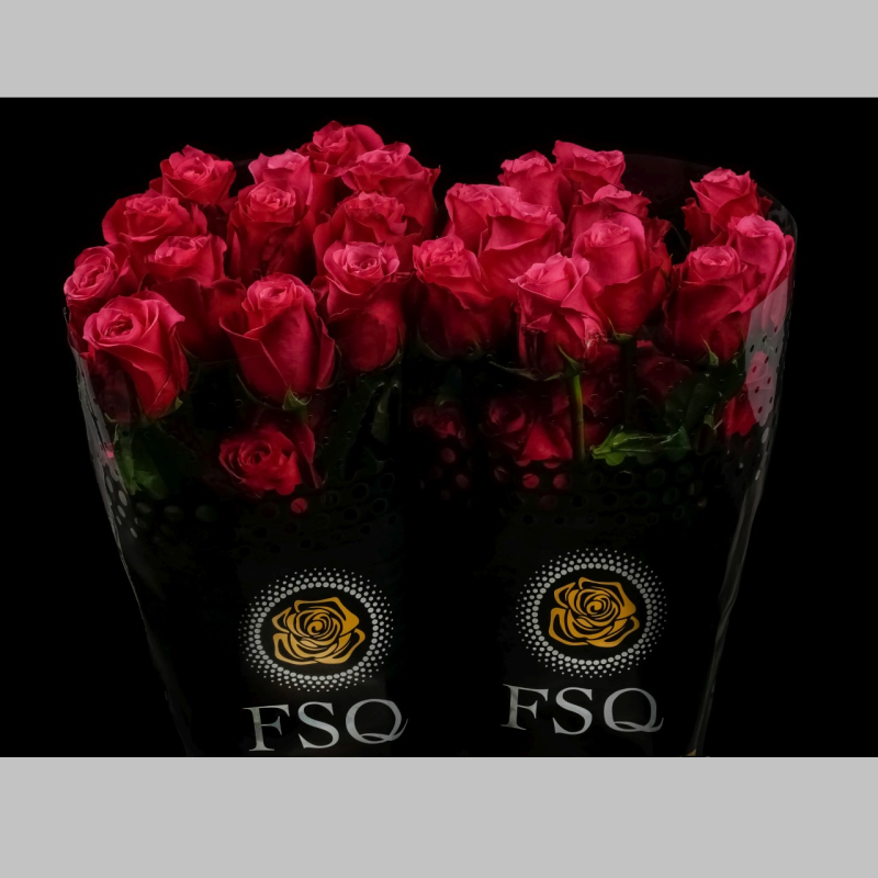 Trandafiri Ecuador Rosii, Pachet (25 buc.)