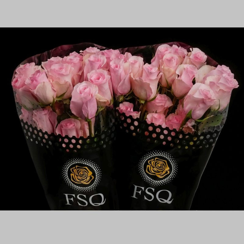 Trandafiri Ecuador Roz, Pachet (25 buc.)