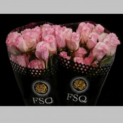 Trandafiri Ecuador Roz, Pachet (25 buc.)