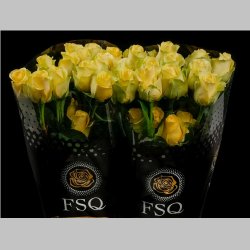 Trandafiri Ecuador Galbeni, 40 cm