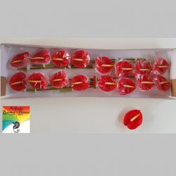 Anthurium Rosu, Pachet (10 buc.)
