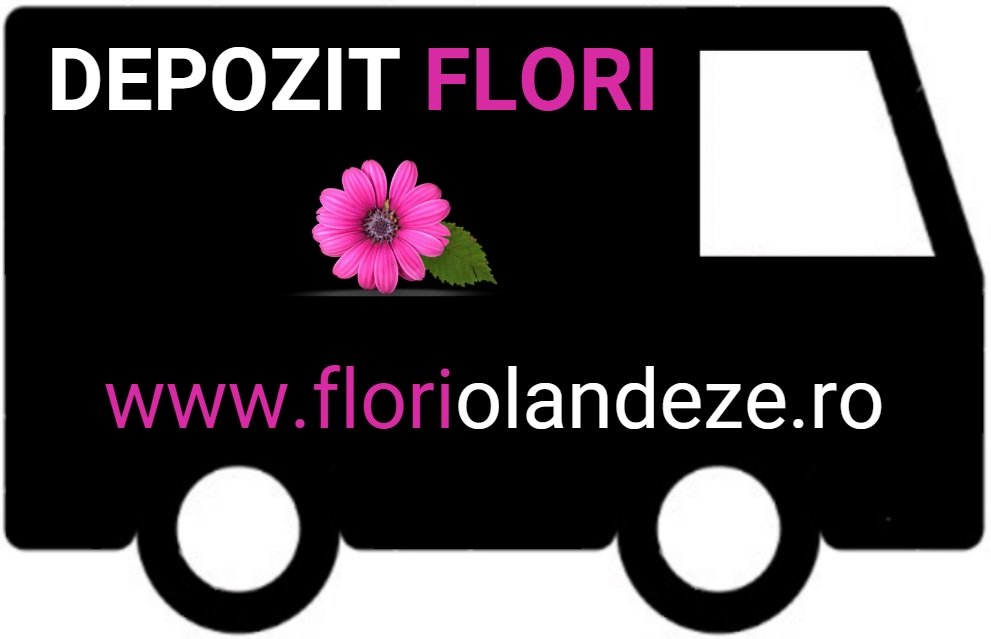 Depozit flori